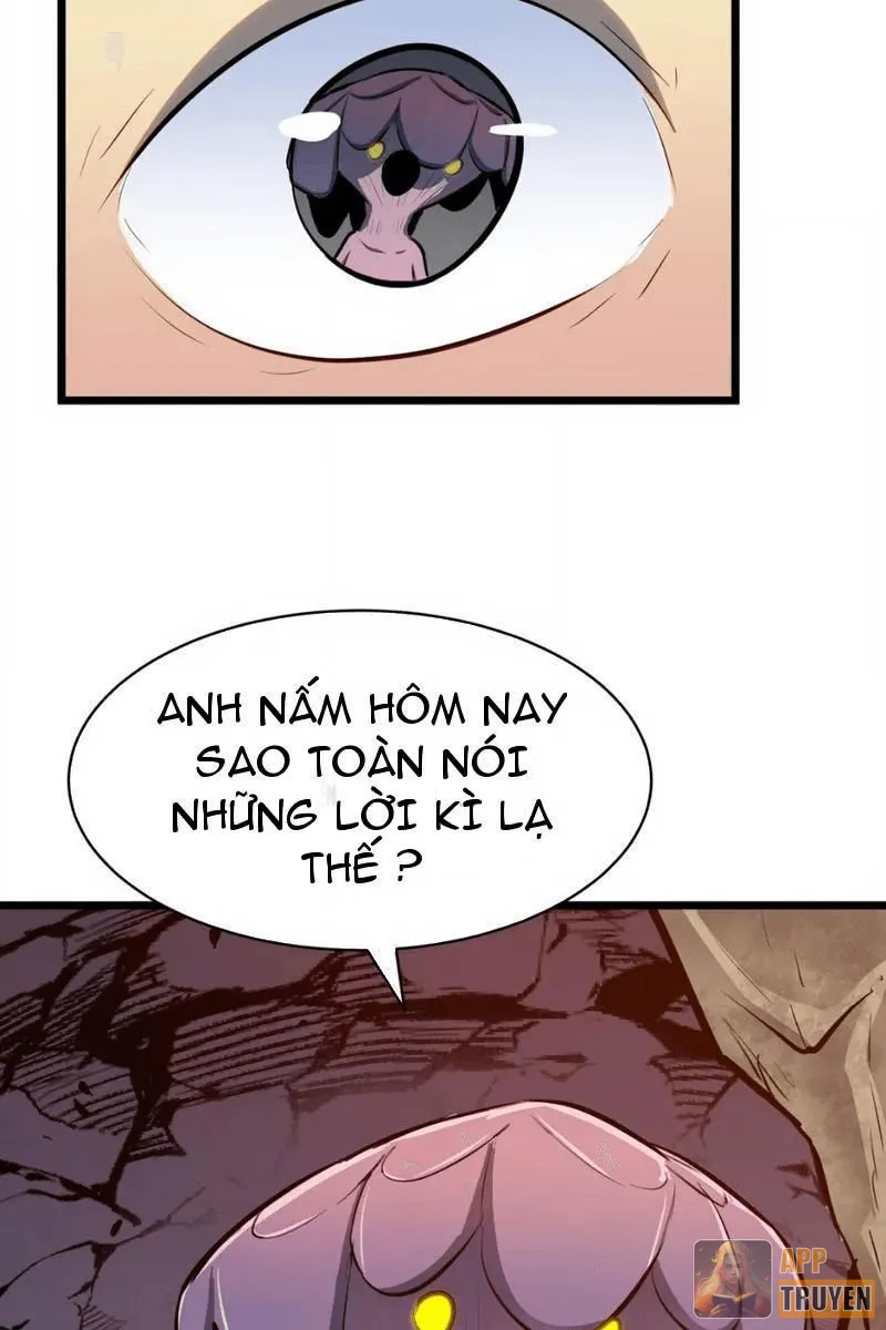 image 24