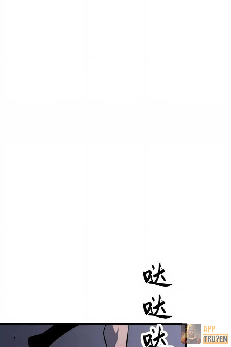 image 29