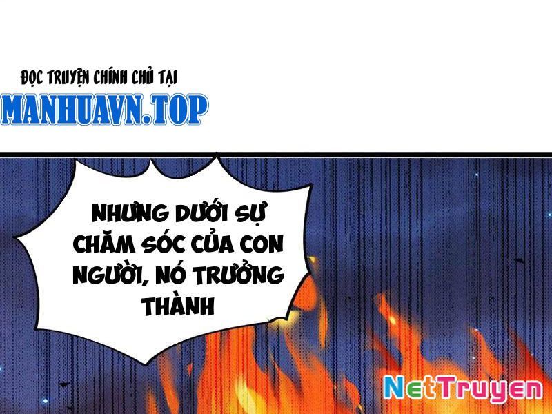 Mạt Thế Cẩu Sinh: Gián Giúp Ta Chồng Buff Chapter 60 - 36