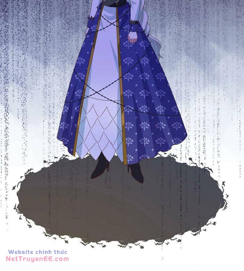 image 28