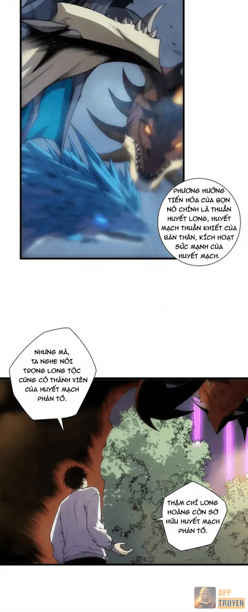 image 22