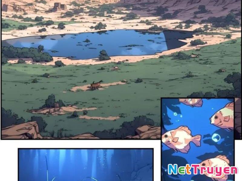 Từ Một Hồ Nước Bắt Đầu Tiến Hóa Chapter 2 - 26