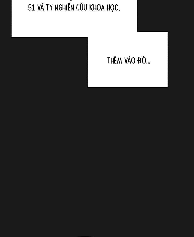 image 31